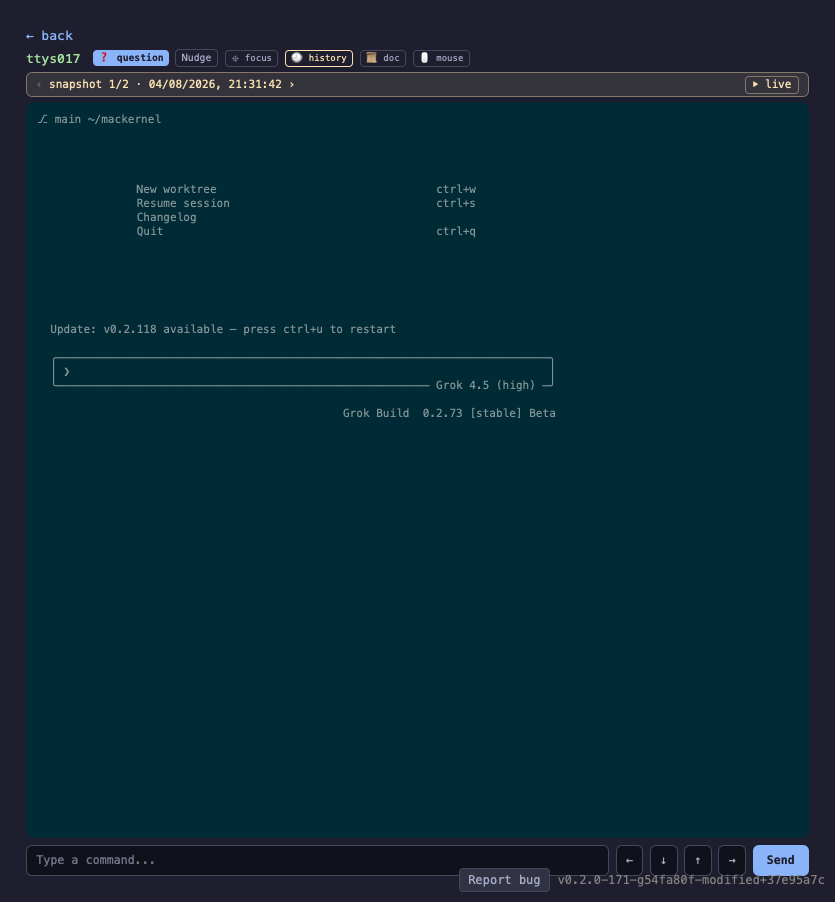 The snapshot pager showing snapshot 1 of 2 with older and newer arrows